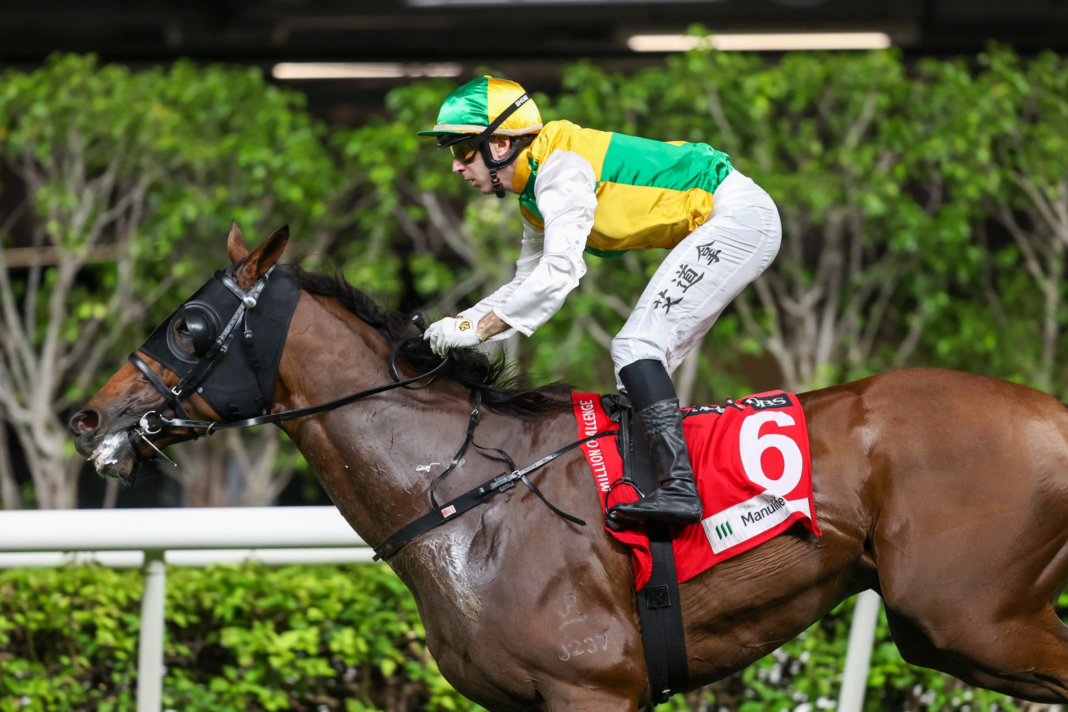 Storming Dragon leads Million Challenge with Wrote A New Page at Happy Valley
