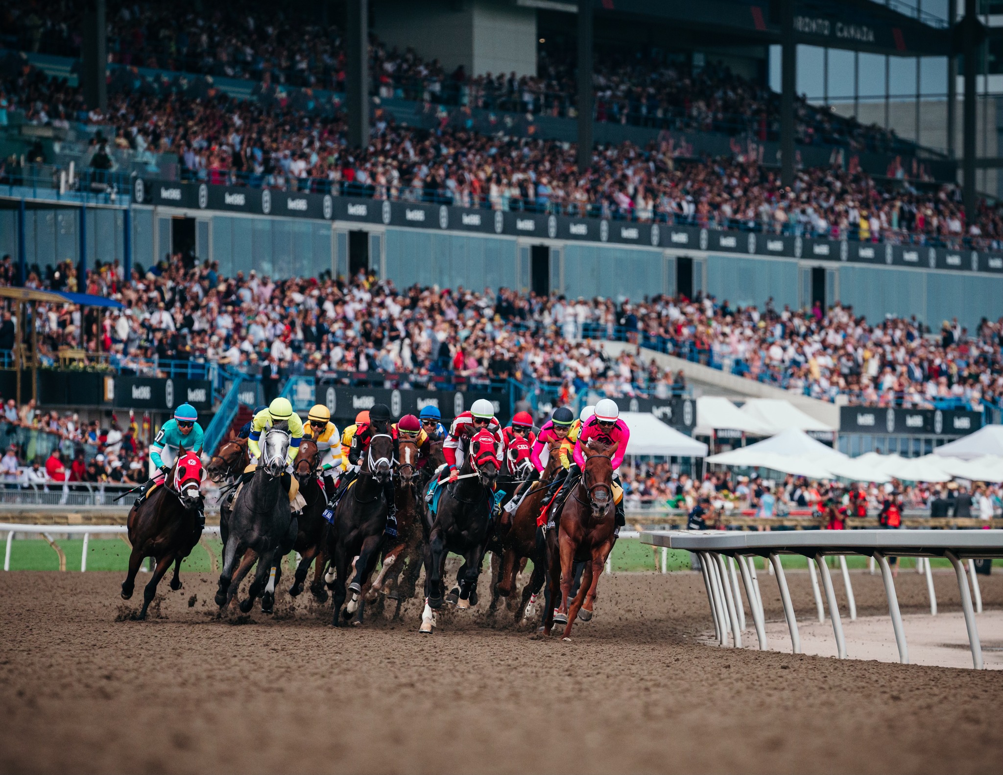 Woodbine races September 11 card preview