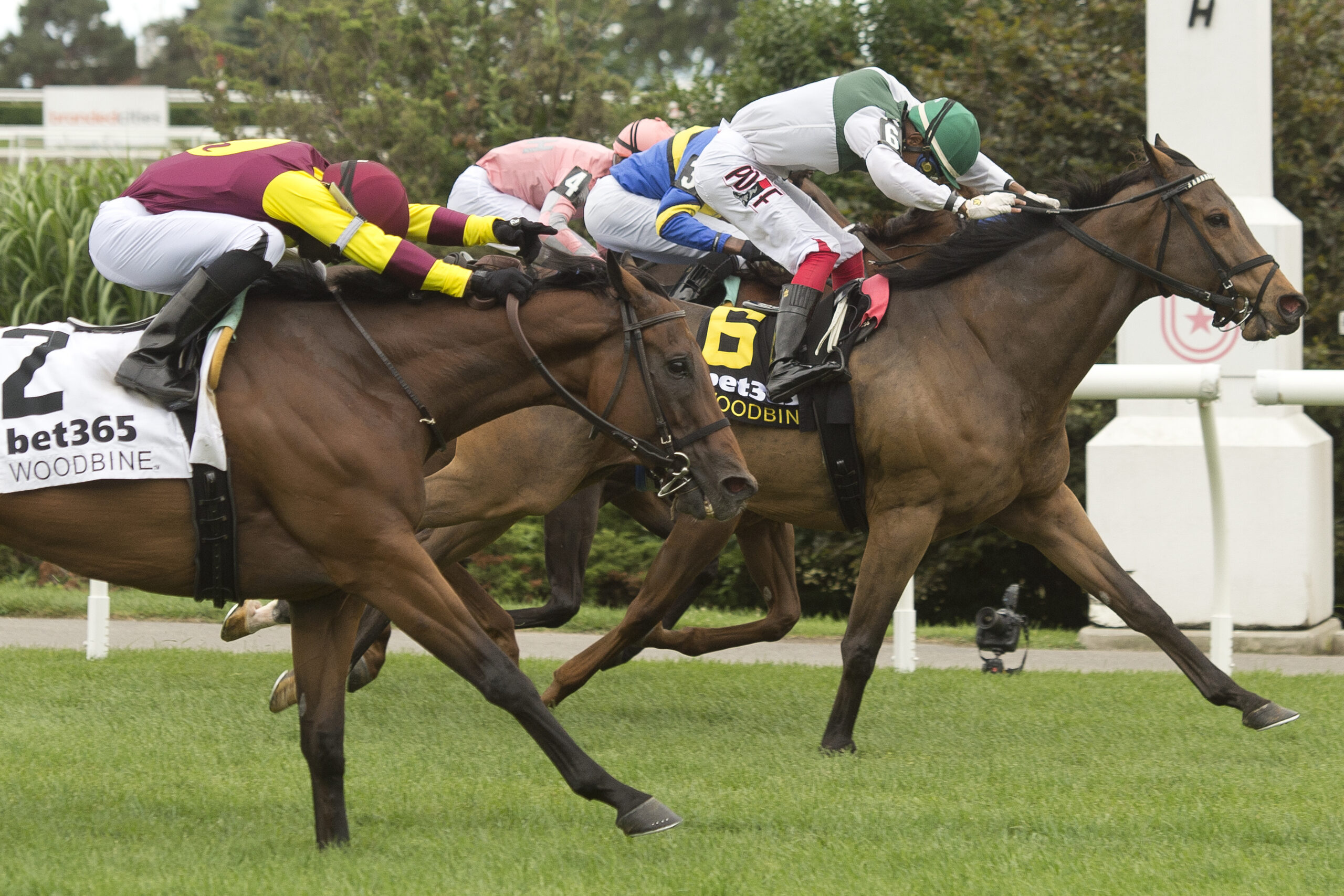 Jockeys and horses in action at Woodbine races September 1, 2025