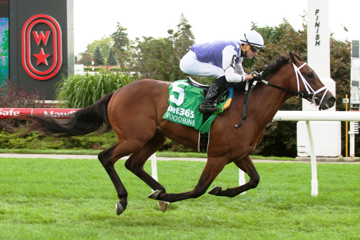 Kevin Attard’s unbeaten juveniles set for Summer Stakes 2025 at Woodbine