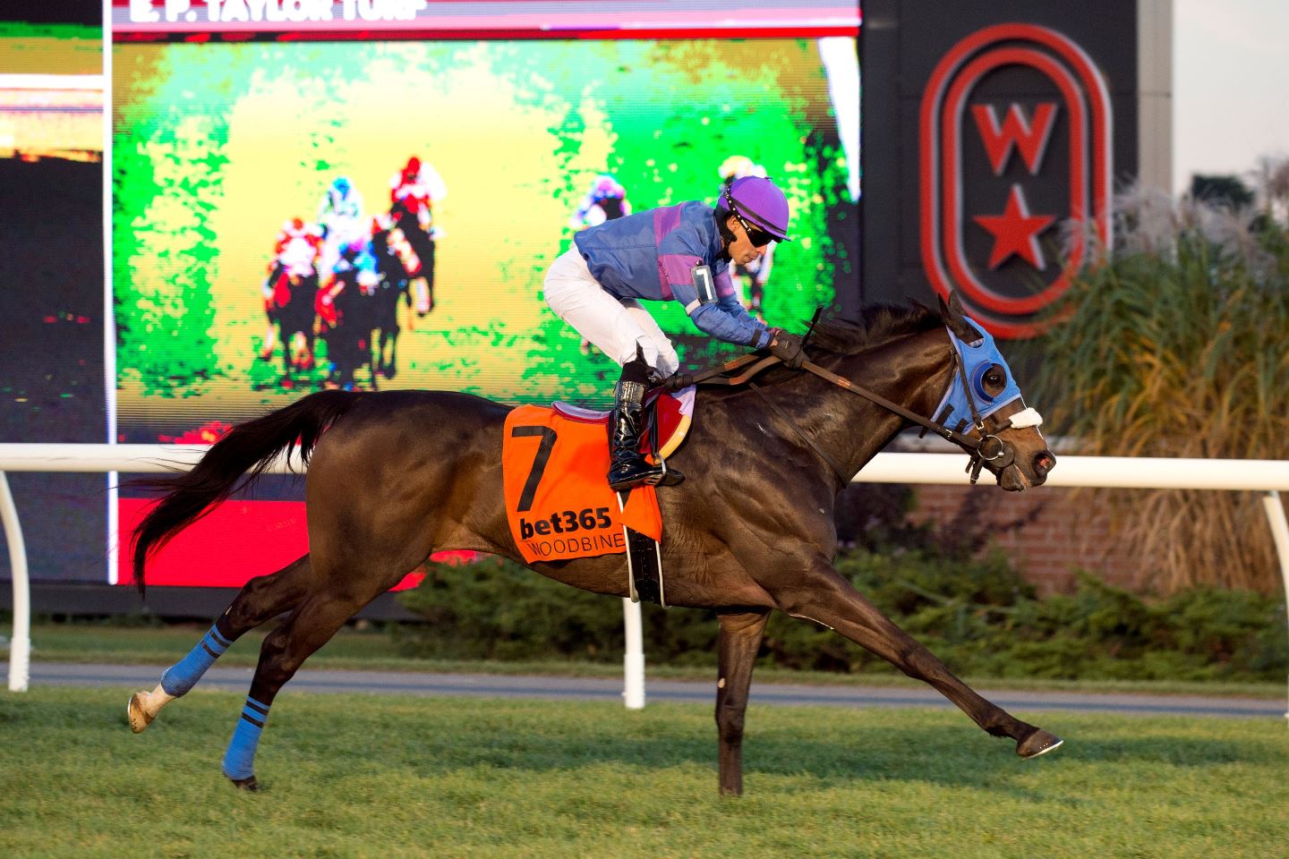 Dancin in Danile Singspiel at Woodbine 2025
