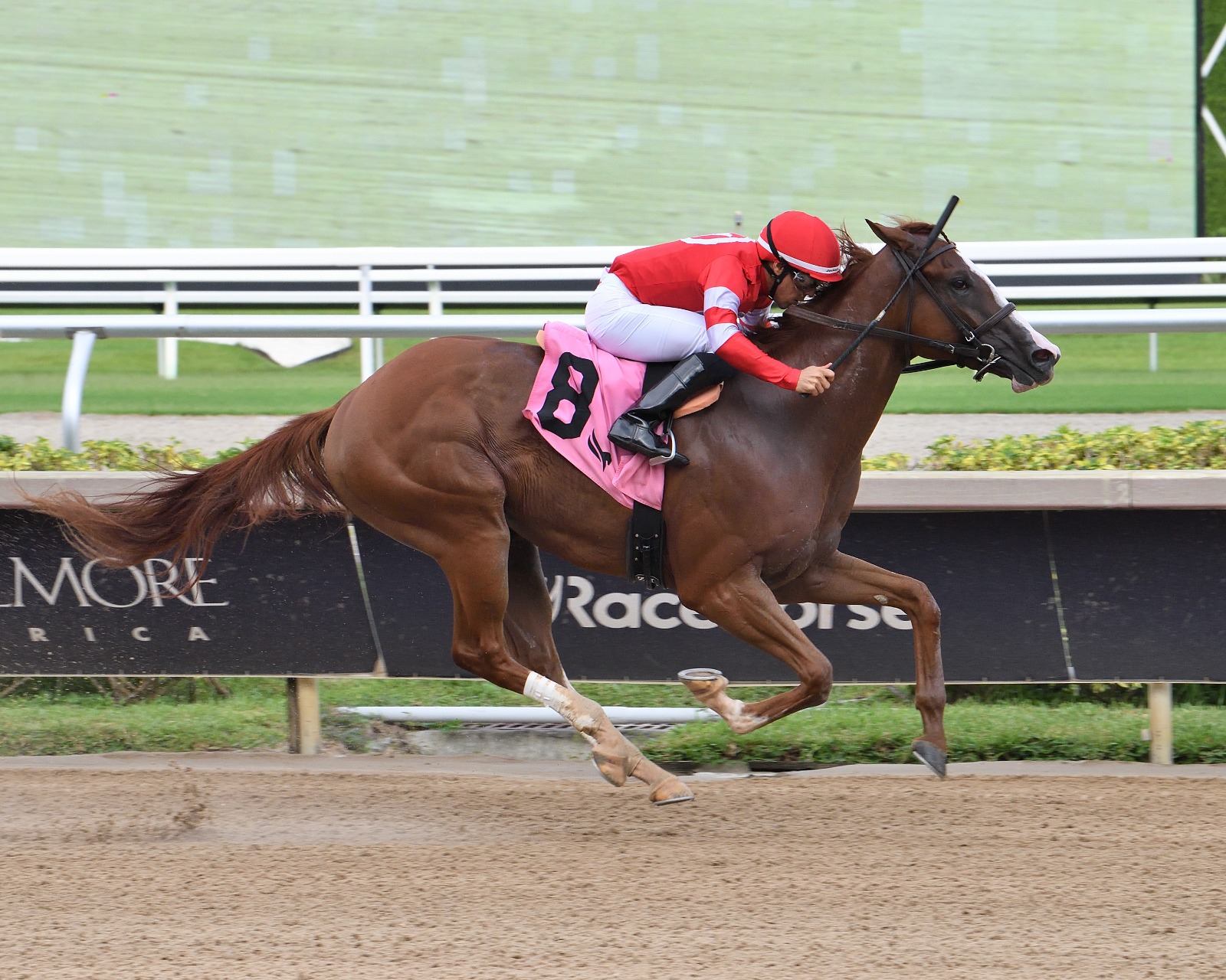 Fourth and Central wins the $100,000 Dr. Fager Stakes at Gulfstream Park under jockey Marcos Meneses