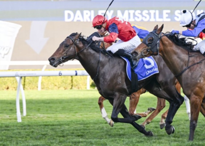 Warwick Farm racecourse ready for mid-week racing with horses and jockeys in action