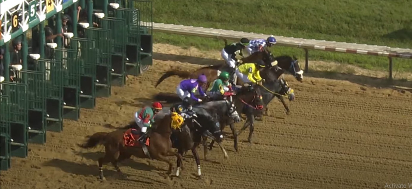Horses competing at Delaware Park during the September 4, 2025 race card