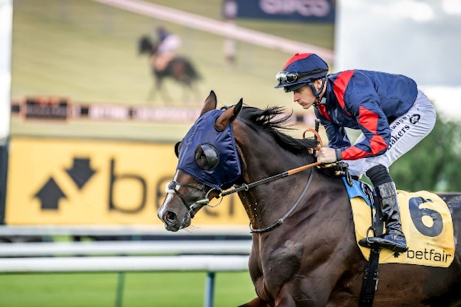 Haydock Park Sprint Cup Celebration 2025 racing action