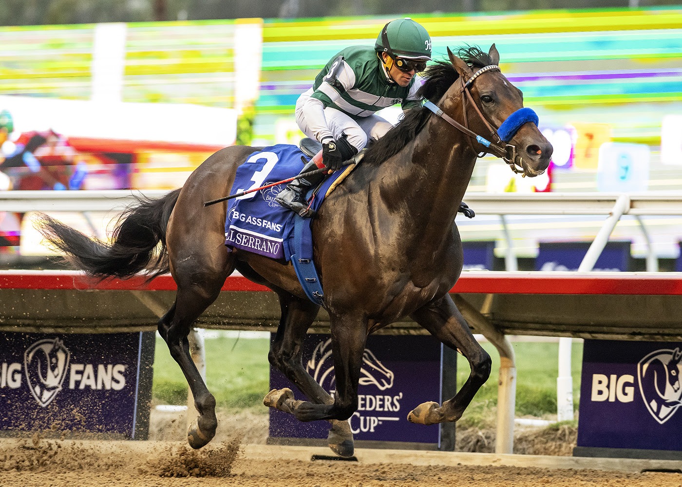 Full Serrano returns to Del Mar in Labor Day allowance race © Benoit Photo