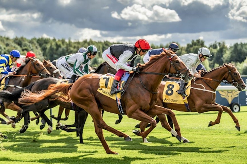 Haydock Park Racing Welfare Day 2025 flat racing crowd