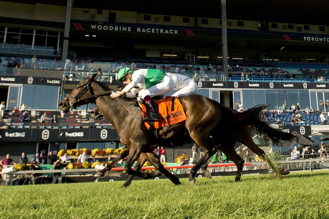 Mouffy winning the 2024 Dance Smartly Stakes at Woodbine Racetrack