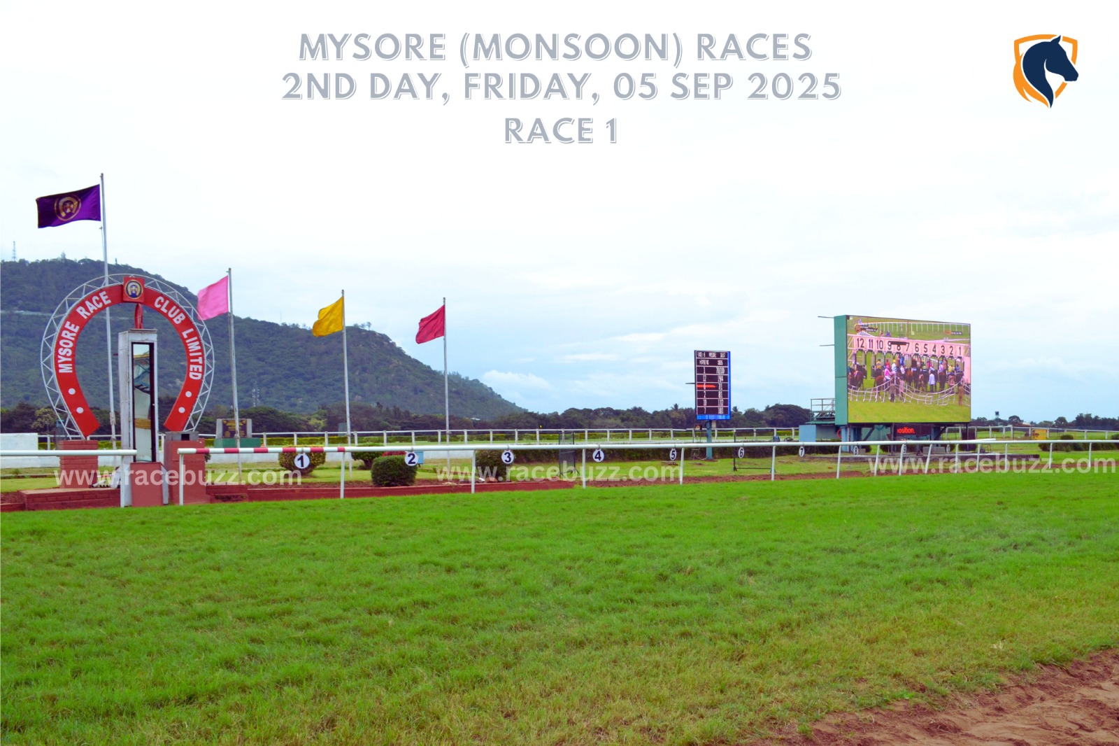 Armament winning The Virija Plate at Mysore Monsoon Races 2025