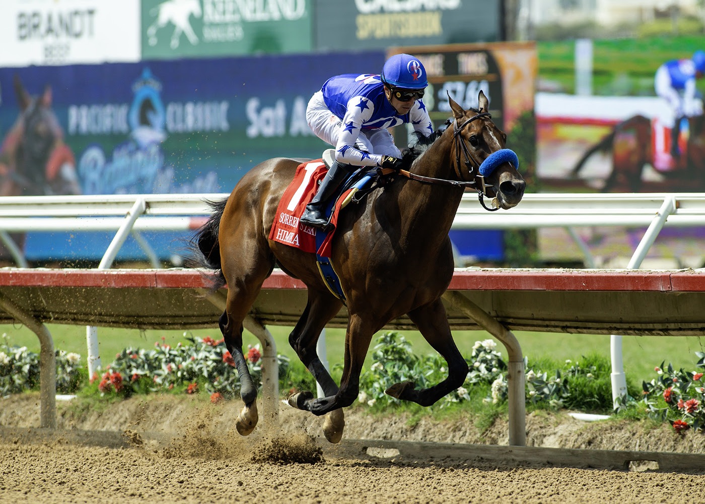 Himika leads Bob Baffert’s powerful trio in the 2025 Del Mar Debutante at Del Mar Racecourse