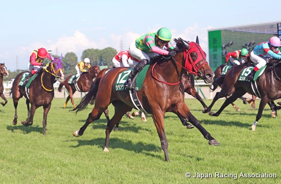 Horses racing at Hanshin Racecourse during the September 6 race day