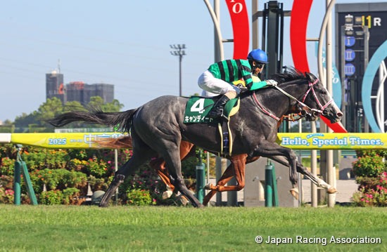 Horses racing at Sapporo Racecourse during the 12-race card on September 6, 2025