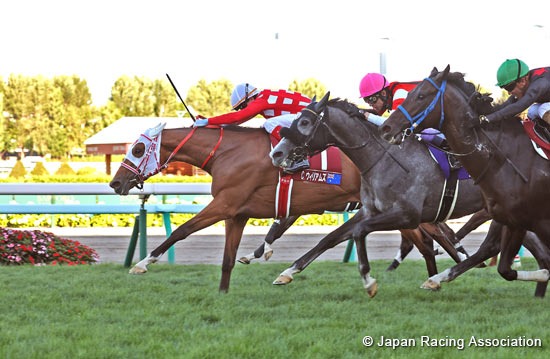 Nakayama Racecourse September 6 Races , 12-Race Card and Feature Handicap