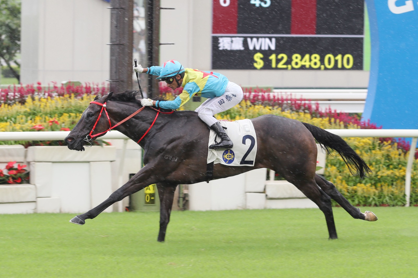 Harry Bentley aboard Victor The Winner at Sha Tin Racecourse