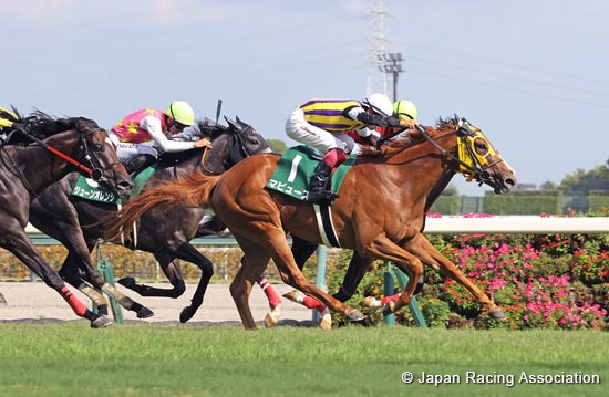Crowds gather at Nakayama Racecourse for a thrilling 12-race card on 7th September 2025.