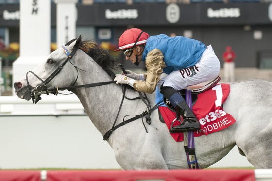 Haunted Dream (IRE) winning the Grade 3 Singspiel Stakes at Woodbine
