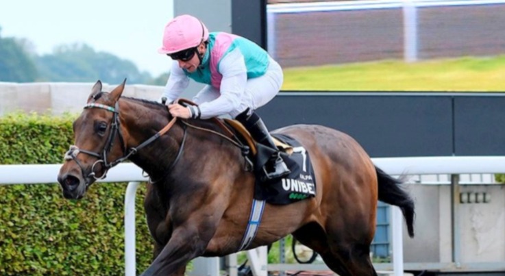 Five Ways crosses the finish line at Kempton Park with jockey Jason Watson celebrating