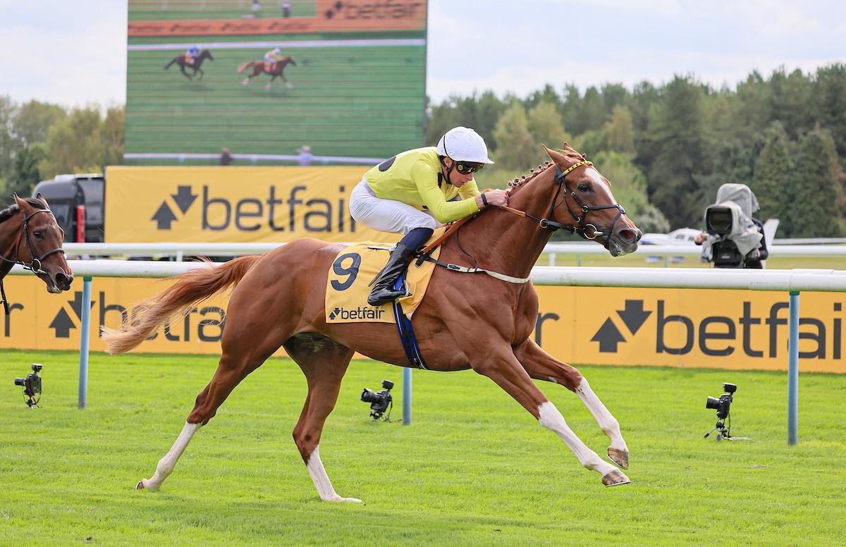 Zeus Olympios and Bow Echo winning at Haydock Park Sprint Cup Day, yellow and black silks in action