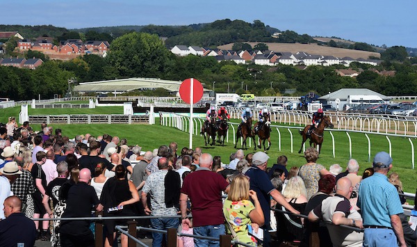 Newton Abbot Races 2025 – Seven-Race Card Preview and Jumps Racing Action