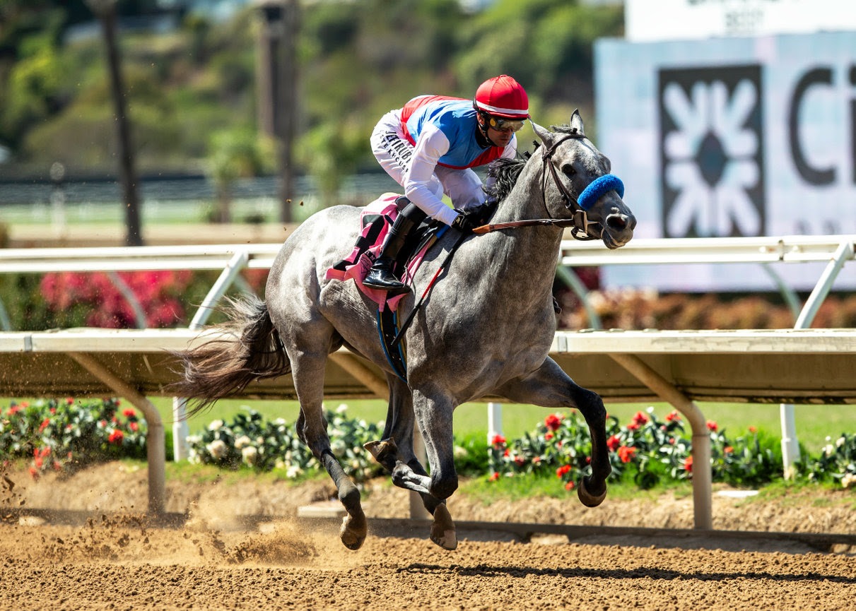 Brant leads Bob Baffert’s brigade into the Del Mar Futurity 2025