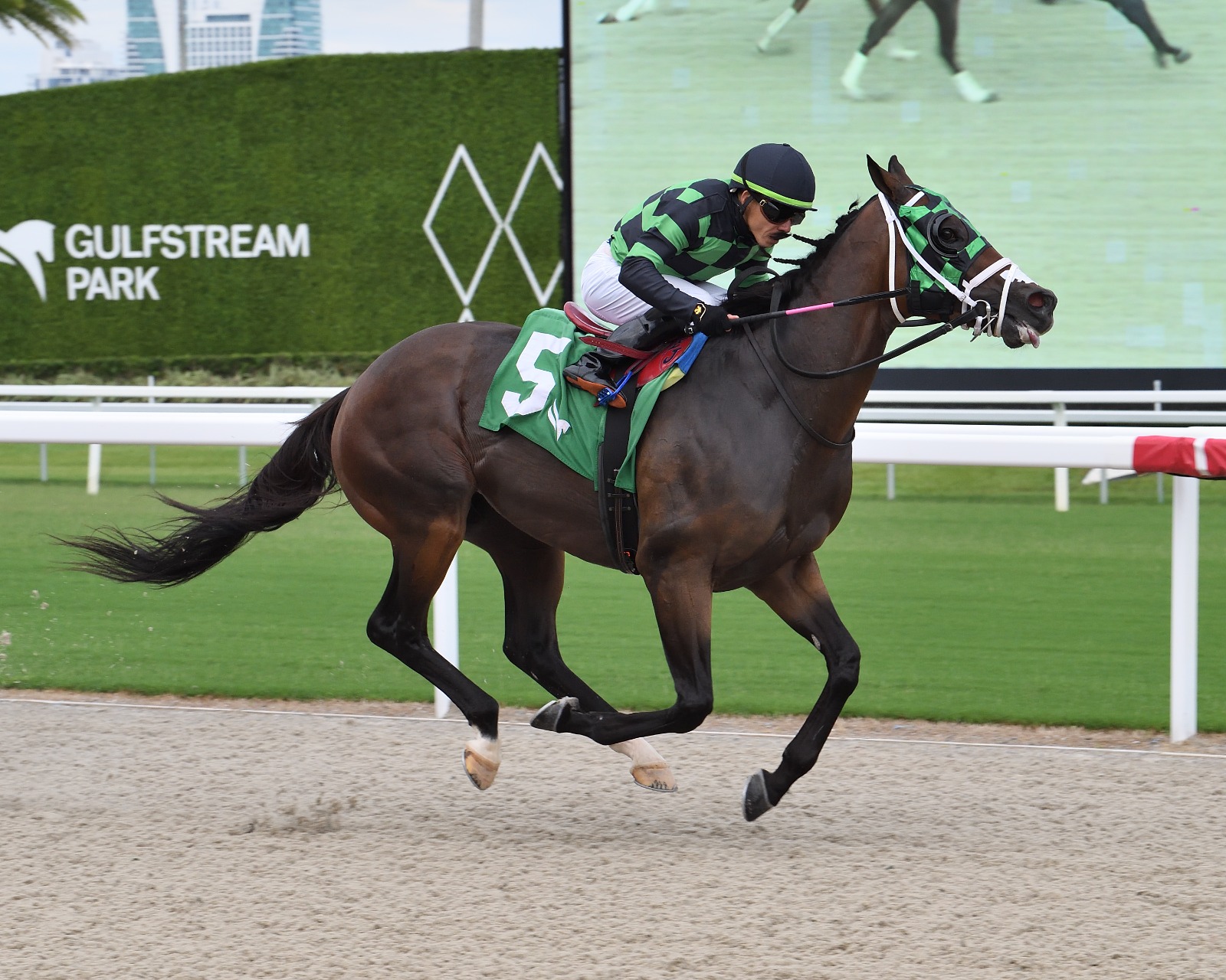 Prevent wins Mambo Meister at Gulfstream Park under jockey Emisael Jaramillo