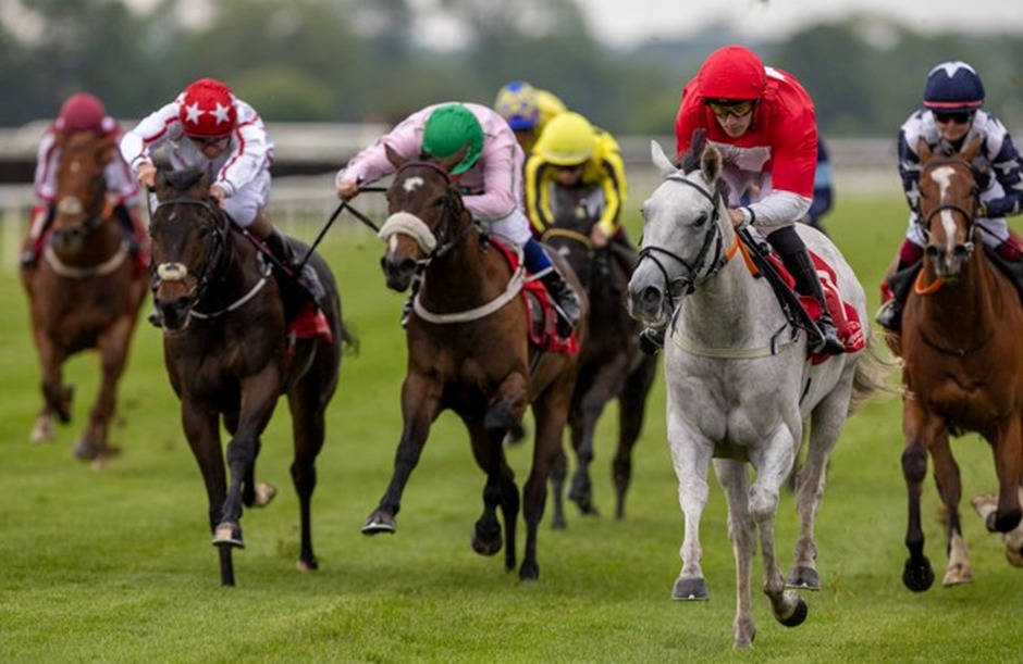 Cork Racecourse hosts seven-race evening flat racing card on 10 September