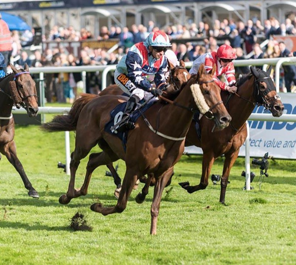 St Leger Festival 2025 Preview Event at Doncaster Racecourse