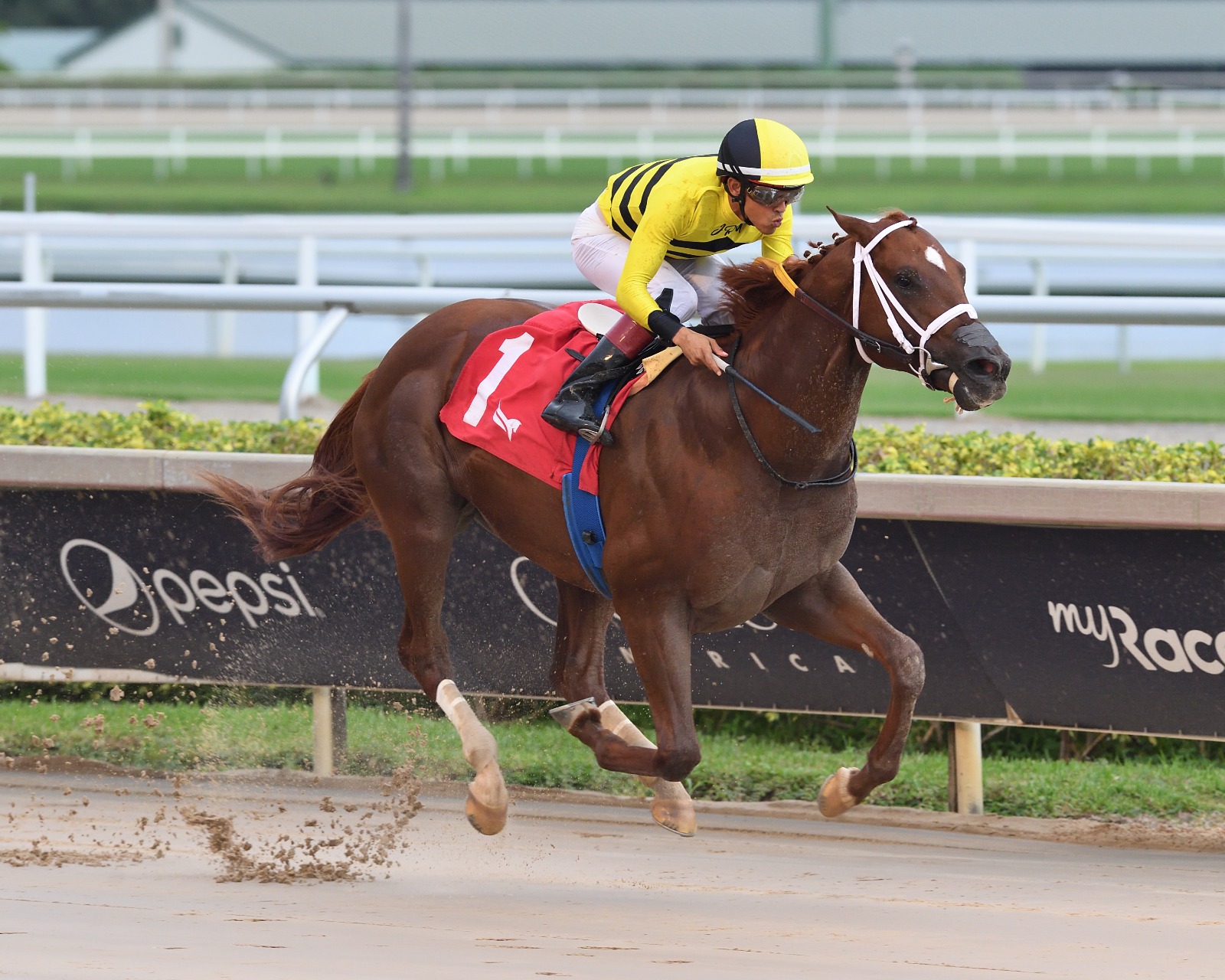 Hammond wins maiden race at Gulfstream Park ahead of Canton’s Friday bid