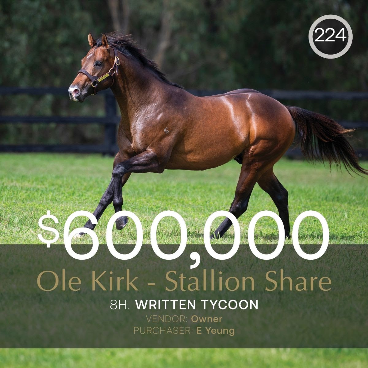 Bidding at the Inglis Digital September Online Sale with Ole Kirk stallion shares leading the auction