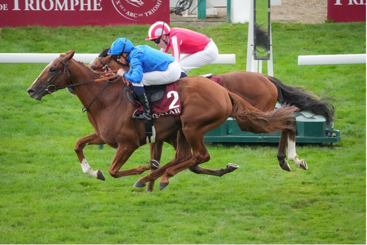 Longchamp September 11 race card – horses racing at Hippodrome de Longchamp