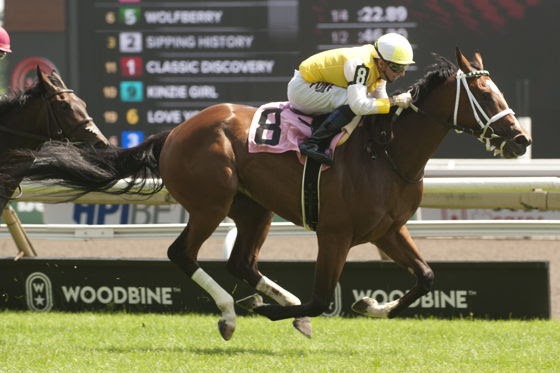 Dixie Law prepares for the 2025 Johnnie Walker Natalma Stakes at Woodbine