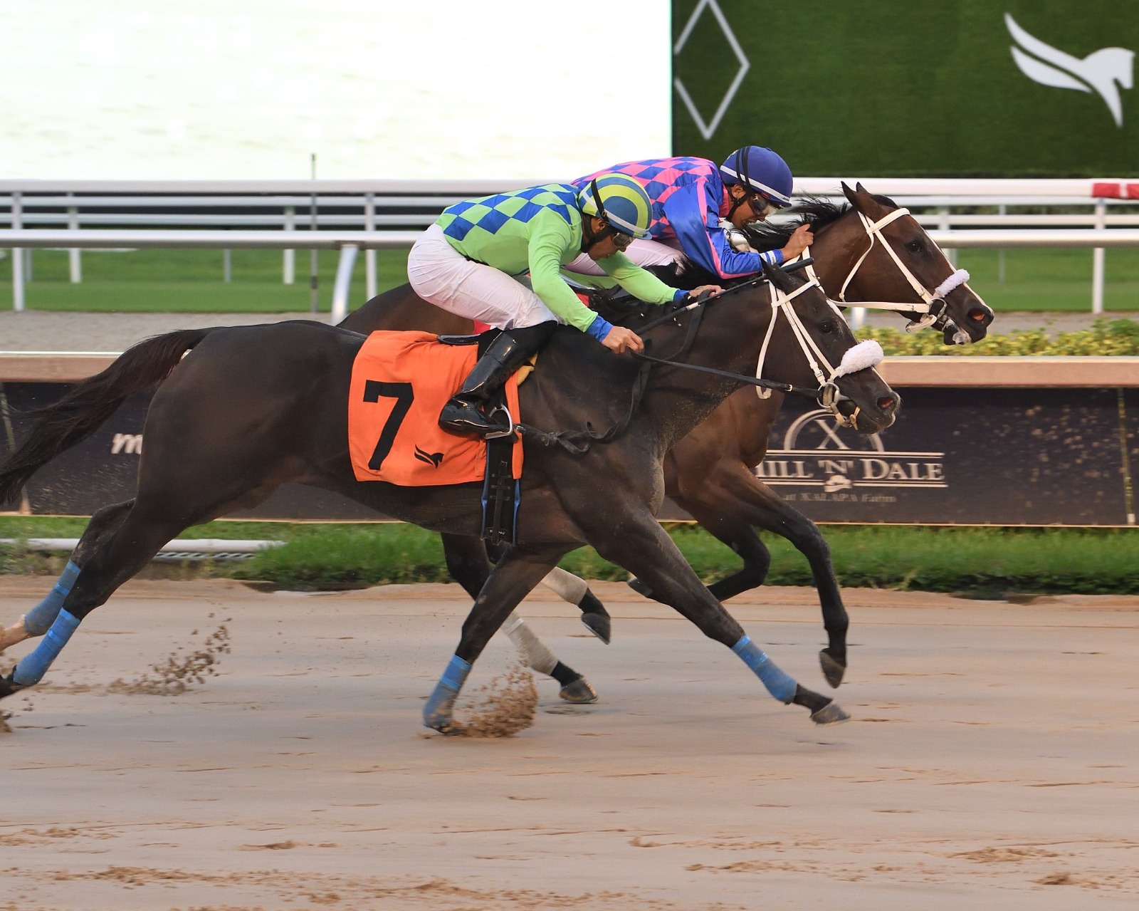 Gulfstream Park Championship Meet Pegasus World Cup 2025