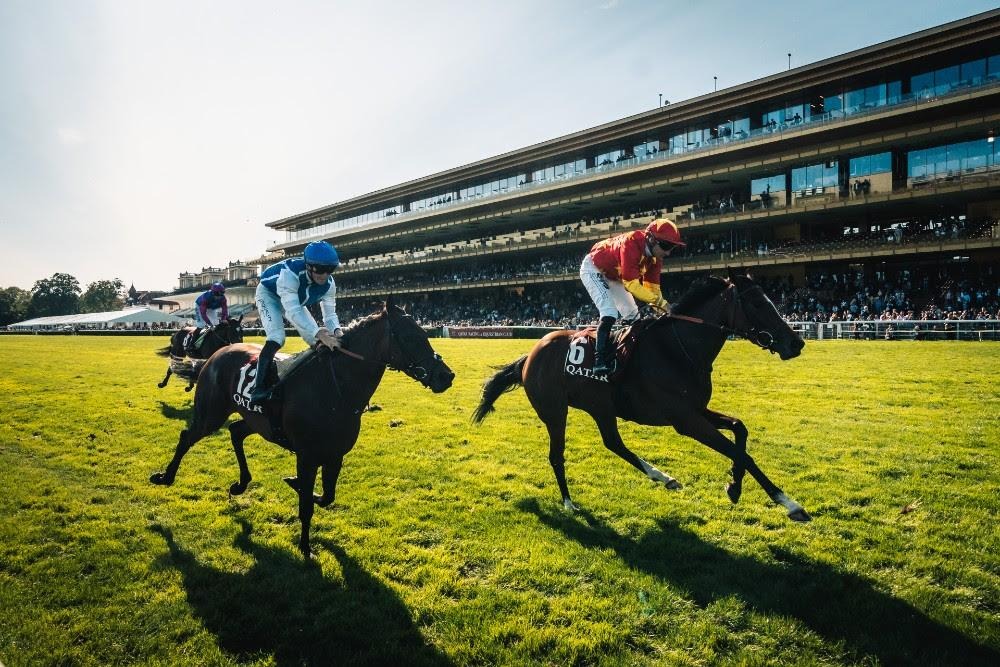 Horses jumping hurdles at Hippodrome d’Auteuil, Paris