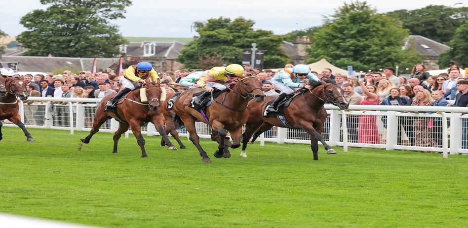 Horses racing at Musselburgh Racecourse on a sunny September afternoon