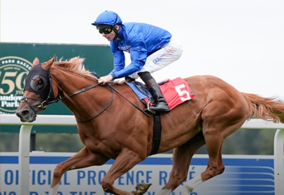 Sandown Park Racecourse on 12 September 2025 hosting seven races