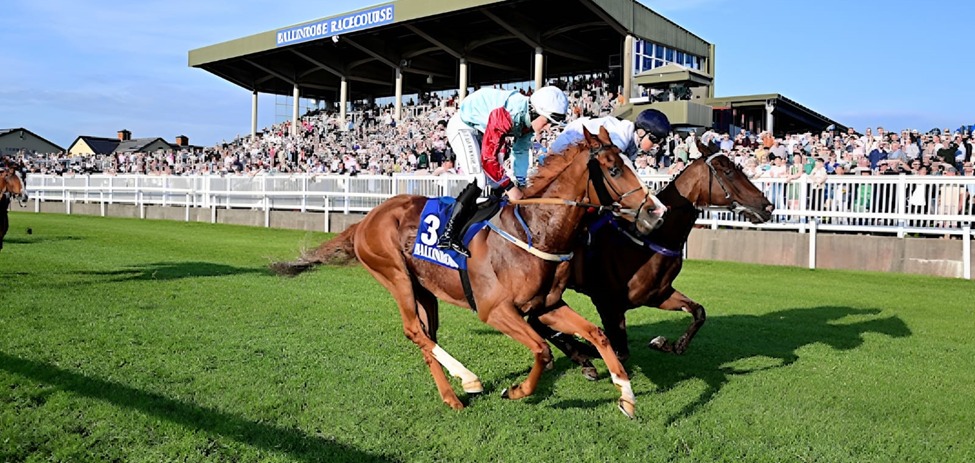 Horses racing at Ballinrobe Racecourse during 2025 season finale