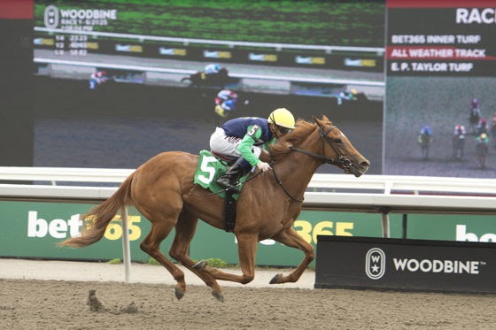 Sipping History and Pageant Queen set for Victorian Queen Stakes at Woodbine