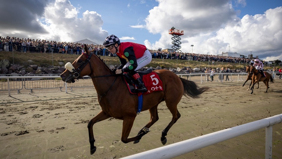 Curragh Racecourse Irish St. Leger Day 2025 preview