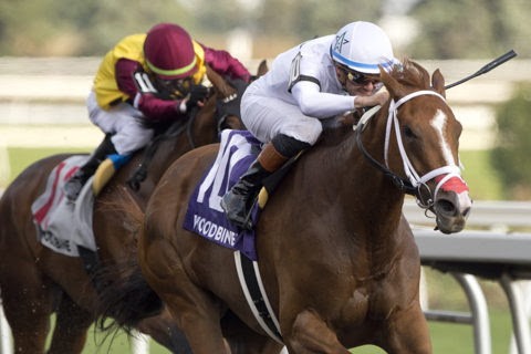 Caitlinhergrtness wins the Grade 3 Ontario Matron at Woodbine under Flavien Prat