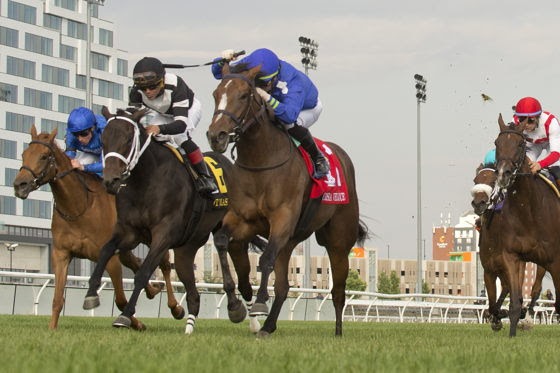 Corsia Veloce winning the Grade 1 Johnnie Walker Natalma Stakes at Woodbine