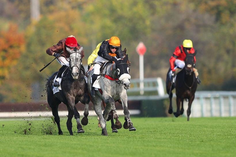 Horses competing in the Grand Cross de Moulins 2025 at Moulins Racecourse