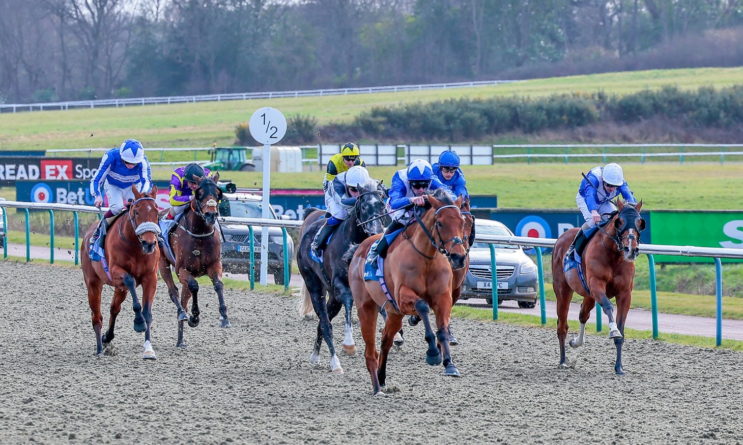 Winter Derby action at Lingfield Park during the All-Weather Championships