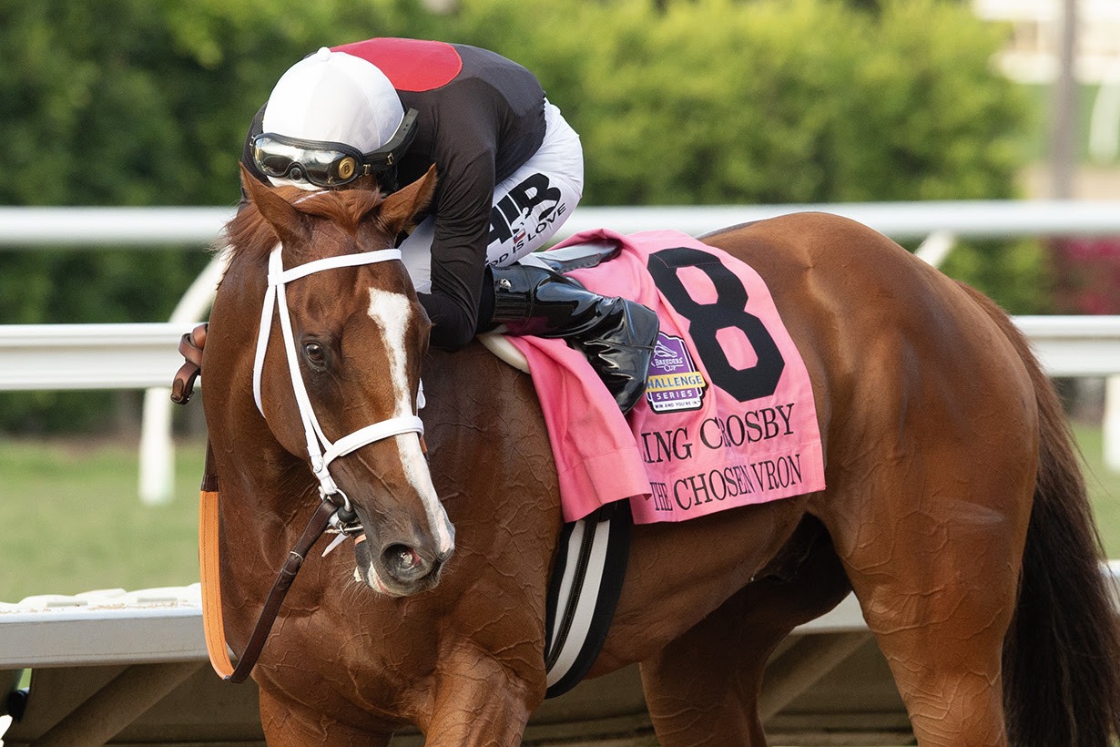 The Chosen Vron racing at Del Mar in his Grade I victory
