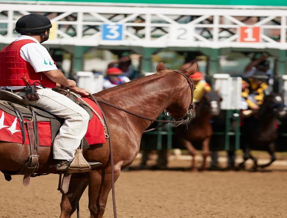 Horses racing at Churchill Downs during Twilight Thursdays under the sunset