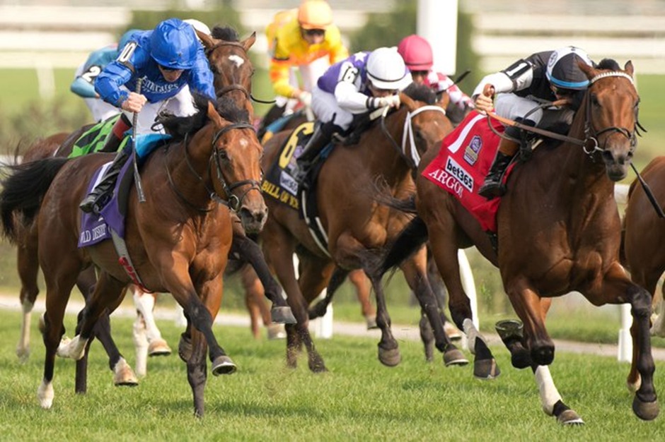Horses racing at Woodbine Racetrack on September 18, 2025