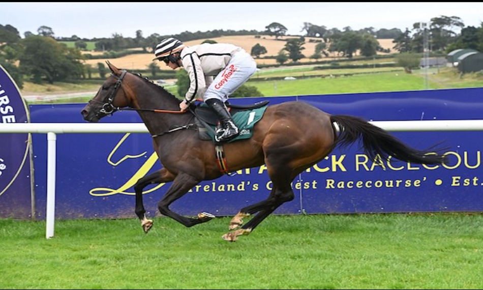 Downpatrick Races 2025 penultimate jumps meeting preview