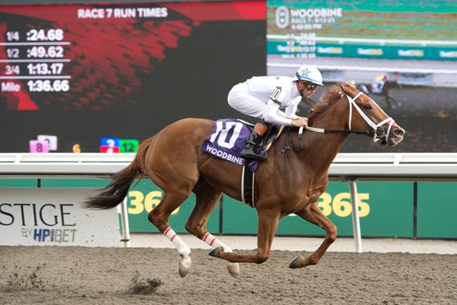 Woodbine Racetrack 19 Sept 2025 racing preview under lights