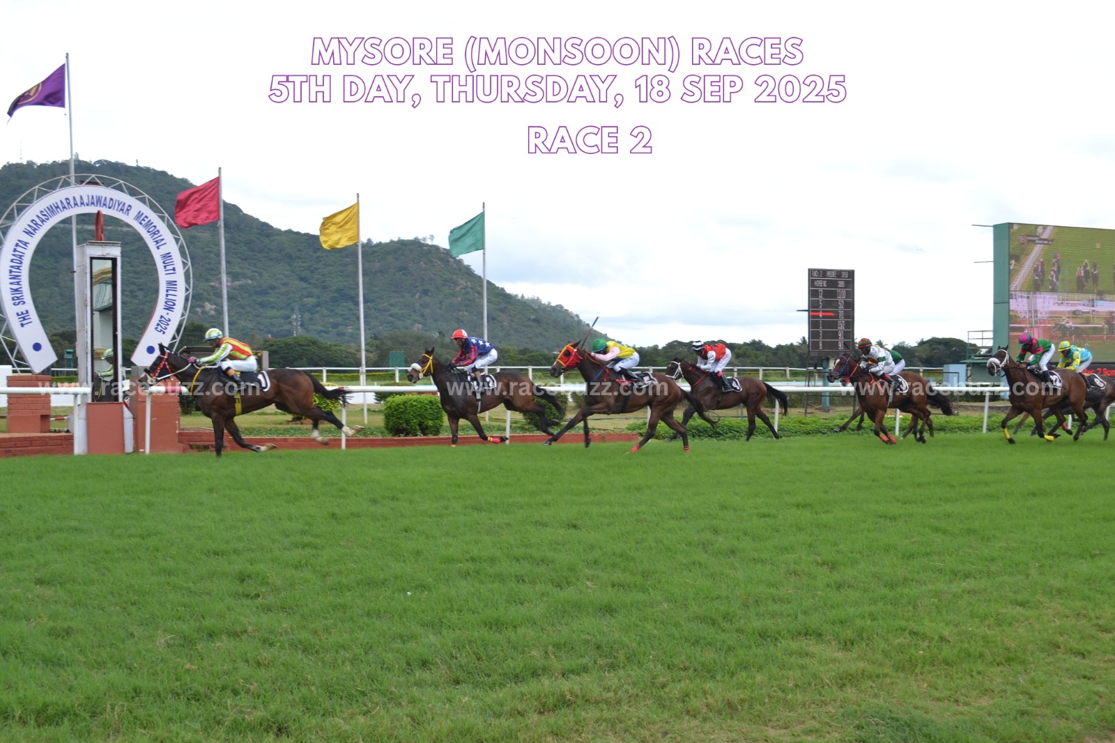 Estefania Wins The Eclipse Plate at Mysore Races 2025