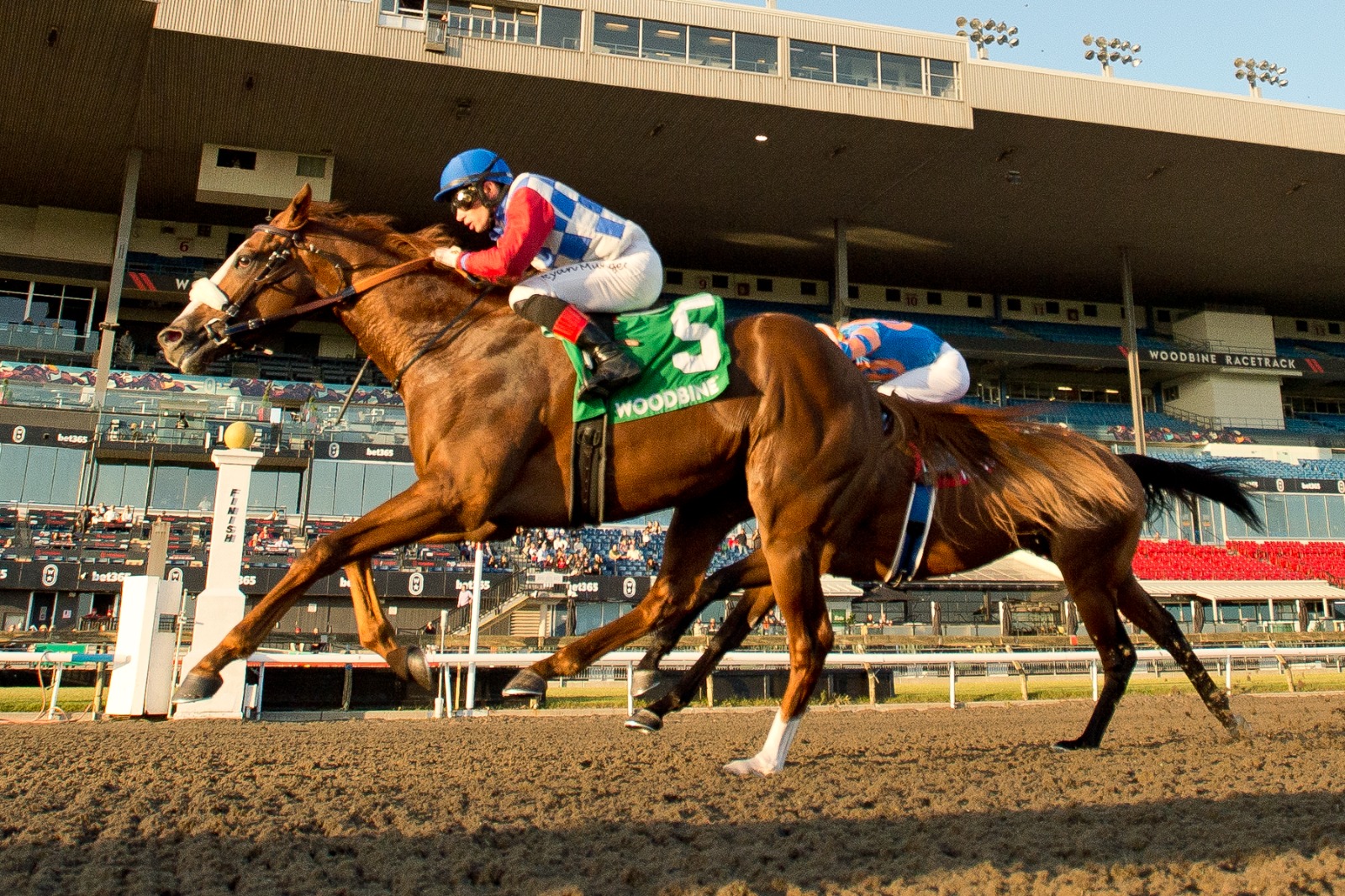 Dresden Row preparing for the Durham Cup (G3) at Woodbine