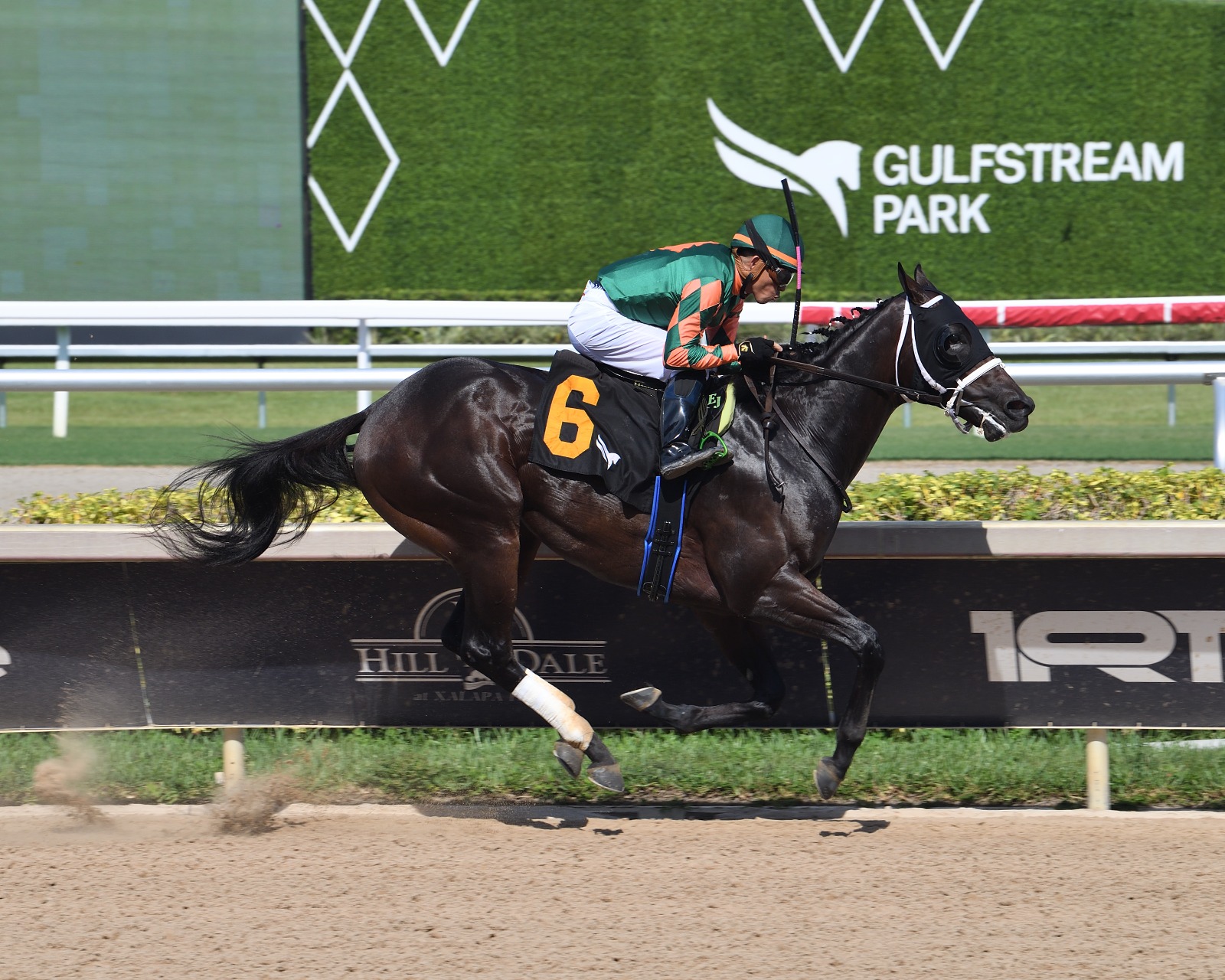 Road Forever at Gulfstream Park preparing for $75,000 Aventura stakes